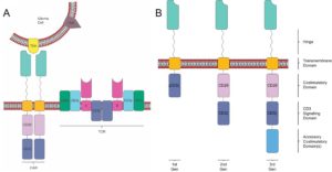 The Brain Tumor Immunotherapy Lab